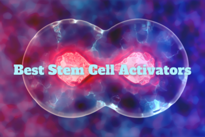 Best Stem Cell Activators